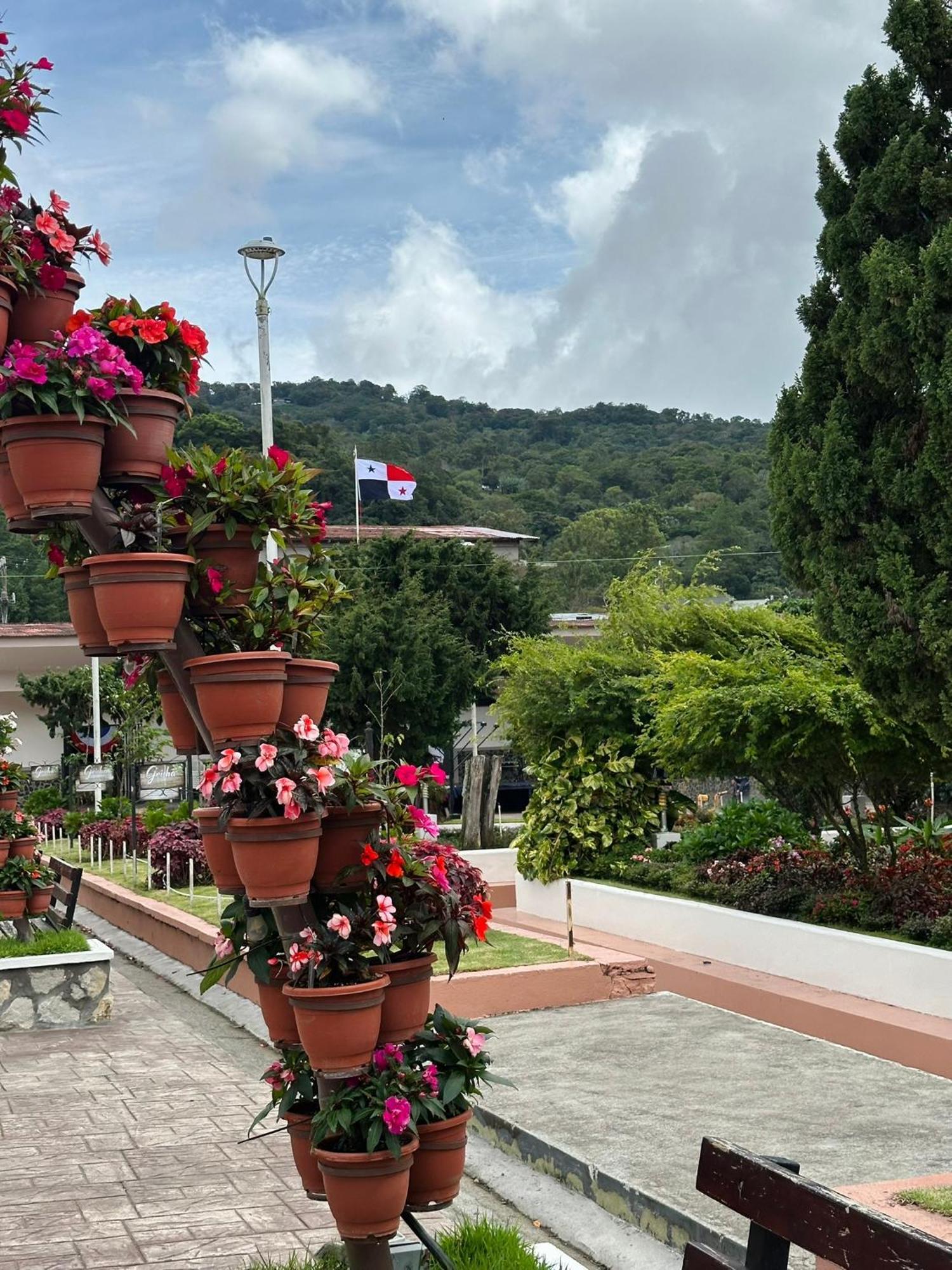 La Casa De Dona Cata Ξενοδοχείο Bajo Boquete Εξωτερικό φωτογραφία